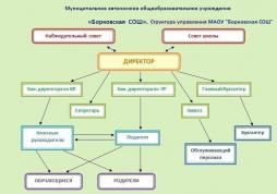 Структура управления МАОУ "Борковская СОШ"